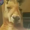 Erick Mercado - @erick.mercado83 - TikTok