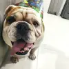 erickmercadooo - @erickmercadooo - TikTok