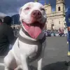 Erick Mesa - @erick.mesa24 - TikTok