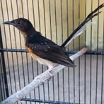 Erik Meyer - Facebook