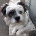 Eric Meyers - Facebook