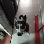 Erick Molano - Facebook
