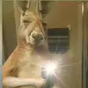 ERICK_MOLANO¯\_(ツ)_/¯ - @erick.molano0 - TikTok