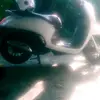 erik molano - @erik.molano - TikTok