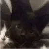 Erick😮‍💨 - @erick.moreno0159 - TikTok