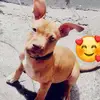 Erick Murrieta - @erick.murrieta - TikTok