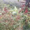 erik noel - @user40262012571024 - TikTok