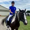 Erick Novak - @horsegroom - TikTok