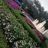Jose@Antony - @erick.oliver.antony - TikTok