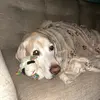 Eric Olsen - @eric.olsen.11 - TikTok