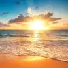 erick_patterson - @erick_patterson - TikTok