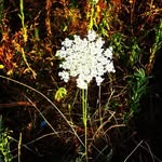 Erik Patterson - @erikpatterson78 - Instagram