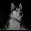 erick_piedra212 - @erickpiedra618 - TikTok