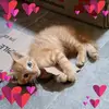 Erick Quiroga - @erick.quiroga19 - TikTok