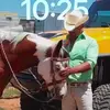 Erick Rocha - @marioeri1973 - TikTok