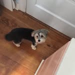 Ericksaunders - @ericksaunders2018 - Instagram