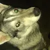 Erick Sepulveda - @user13651587 - TikTok