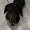 tyson_erick - @tyson_erick - TikTok