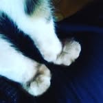 Erick Vazquez - @erick_vazquez_06 - Instagram
