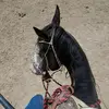 Erick Vazquez - @erickvazquez411 - TikTok