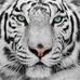 Erick Wagner - Facebook