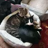 Ericka Wagner - @ericka.wagner7 - TikTok