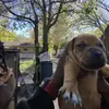 Eric Watson - @eric.watson326 - TikTok