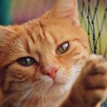 erick welch - @welcheri001 - Instagram
