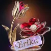 Ericka Alonzo - @ericka.530alonzo - TikTok