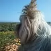 Ericka Berghenderson - @erickaberghenderson - TikTok
