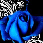 Ericka Byrd - @boggiedownbyrd - Instagram