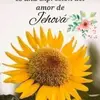 Ericka Castaneda238 - @erickacastaneda23 - TikTok