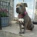 Ericka Farrell - Facebook