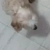 Esmeralda Guerrero Gil - @erickagil3 - TikTok