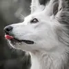 erickagordon2 - @erickagordon2 - TikTok
