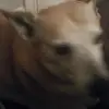 erica grimes - @user6626897621311 - TikTok