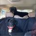 Erica Harrison - Facebook
