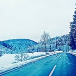Ericka Harrison - @erickaharrison98 - Instagram