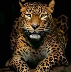 Ericka Jackson - Facebook