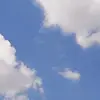 ericka sofia rios Navarrete - @ericka.sofia.rios - TikTok