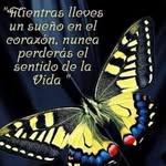 Ericka Navarro - @erickanavarro10 - Instagram