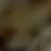 Erica Olsen - @erica.olsen8 - TikTok
