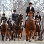 Ericka Rose - @galloping_guru - Instagram