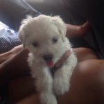 Ericka Samsung - @ericka_samsung - Instagram