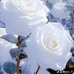 Ericka Small - Facebook