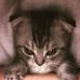 Ericka Tucker - Facebook