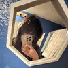 Erickson - @erickson_perez1 - TikTok