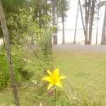 Ericson Perez Sequeira - @ericsonperezsequeira - Instagram