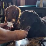 Eric Allison - @eric.allison.14 - Instagram
