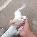 Erik Antonio - Facebook